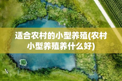 适合农村的小型养殖(农村小型养殖养什么好)