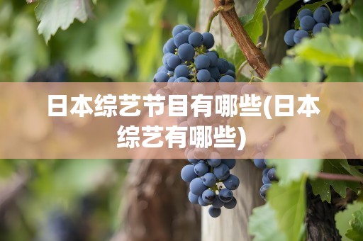 日本综艺节目有哪些(日本综艺有哪些)
