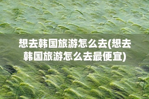 想去韩国旅游怎么去(想去韩国旅游怎么去最便宜)