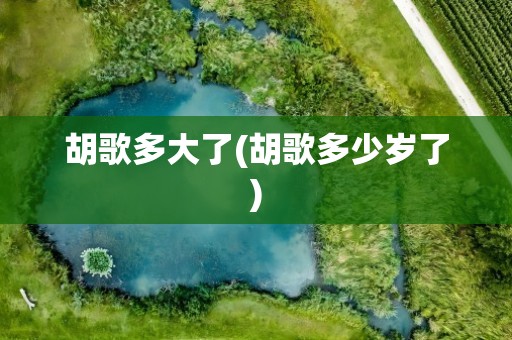 胡歌多大了(胡歌多少岁了)