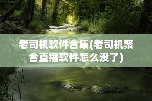 老司机软件合集(老司机聚合直播软件怎么没了)