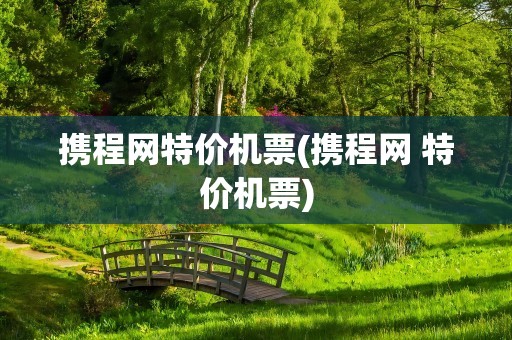 携程网特价机票(携程网 特价机票)