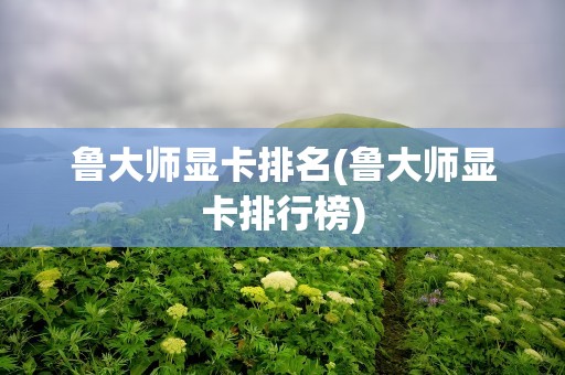 鲁大师显卡排名(鲁大师显卡排行榜)