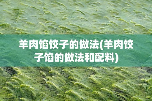 羊肉馅饺子的做法(羊肉饺子馅的做法和配料)