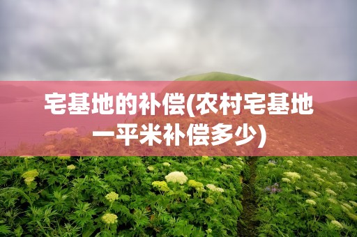 宅基地的补偿(农村宅基地一平米补偿多少)