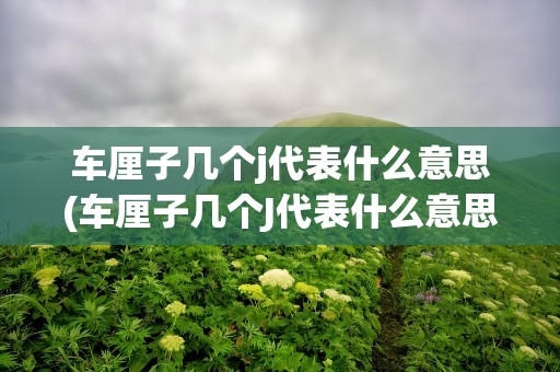 车厘子几个j代表什么意思(车厘子几个J代表什么意思)