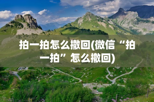 拍一拍怎么撤回(微信“拍一拍”怎么撤回)