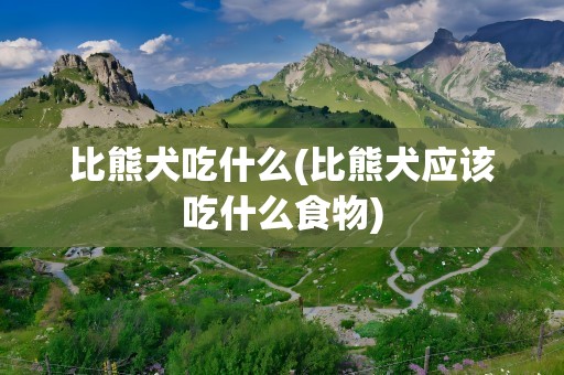 比熊犬吃什么(比熊犬应该吃什么食物)