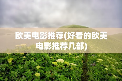 欧美电影推荐(好看的欧美电影推荐几部)