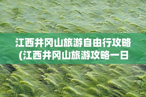 江西井冈山旅游自由行攻略(江西井冈山旅游攻略一日游)