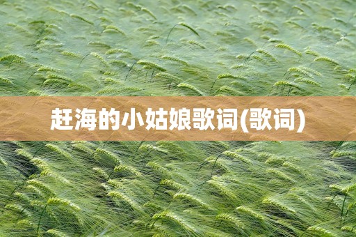 赶海的小姑娘歌词(歌词)