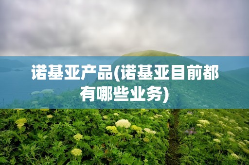 诺基亚产品(诺基亚目前都有哪些业务)