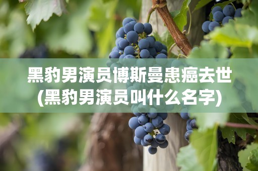 黑豹男演员博斯曼患癌去世(黑豹男演员叫什么名字)