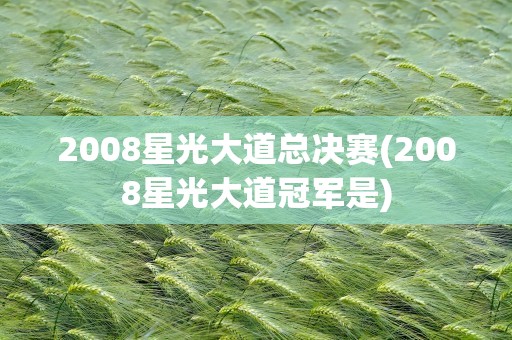2008星光大道总决赛(2008星光大道冠军是)