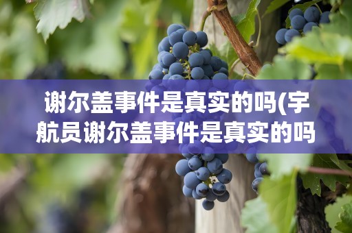 谢尔盖事件是真实的吗(宇航员谢尔盖事件是真实的吗)