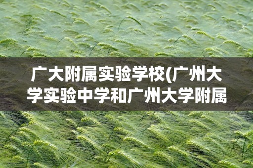 广大附属实验学校(广州大学实验中学和广州大学附属中学有什么区别)
