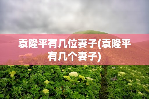 袁隆平有几位妻子(袁隆平有几个妻子)