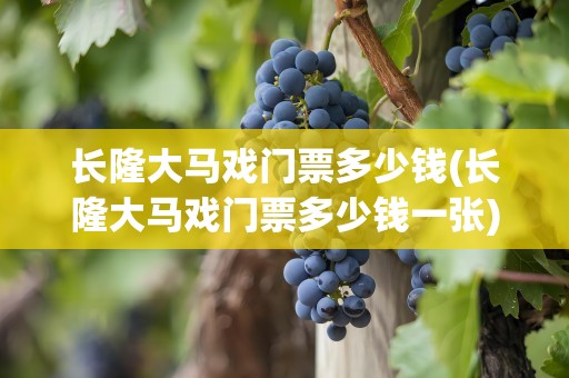 长隆大马戏门票多少钱(长隆大马戏门票多少钱一张)