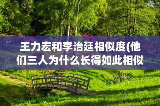王力宏和李治廷相似度(他们三人为什么长得如此相似)