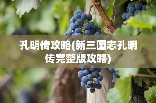 孔明传攻略(新三国志孔明传完整版攻略)