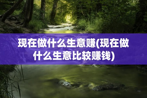 现在做什么生意赚(现在做什么生意比较赚钱)