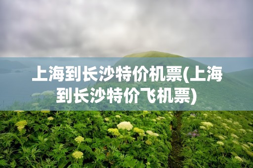 上海到长沙特价机票(上海到长沙特价飞机票)
