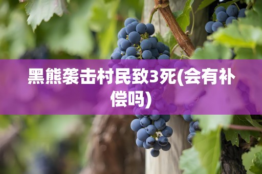 黑熊袭击村民致3死(会有补偿吗)