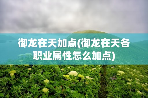 御龙在天加点(御龙在天各职业属性怎么加点)