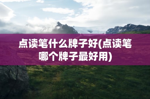 点读笔什么牌子好(点读笔哪个牌子最好用)