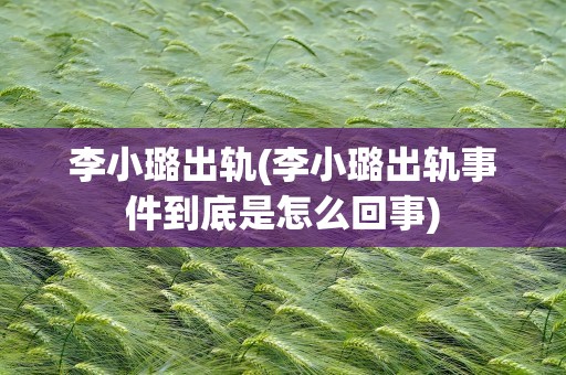 李小璐出轨(李小璐出轨事件到底是怎么回事)