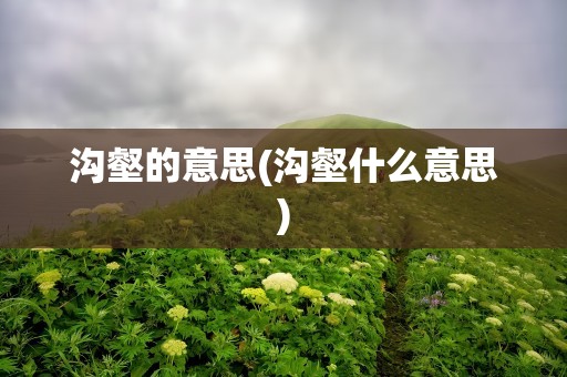 沟壑的意思(沟壑什么意思)