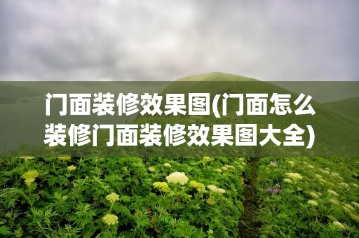 门面装修效果图(门面怎么装修门面装修效果图大全)
