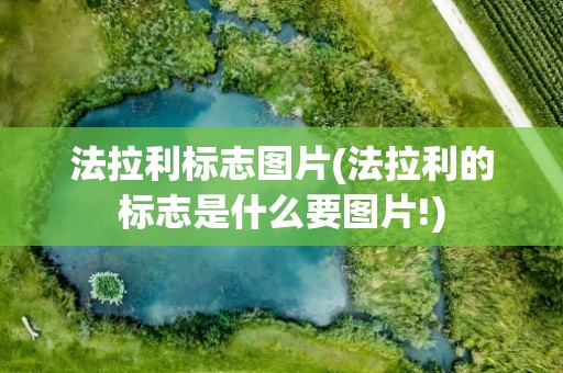 法拉利标志图片(法拉利的标志是什么要图片!)
