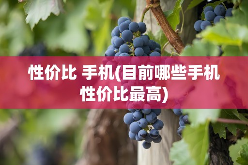 性价比 手机(目前哪些手机性价比最高)