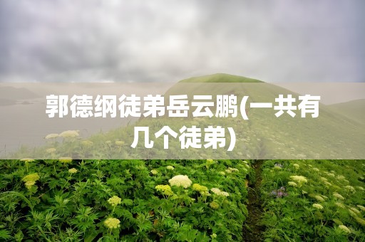郭德纲徒弟岳云鹏(一共有几个徒弟)