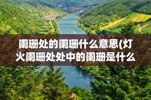 阑珊处的阑珊什么意思(灯火阑珊处处中的阑珊是什么意思)