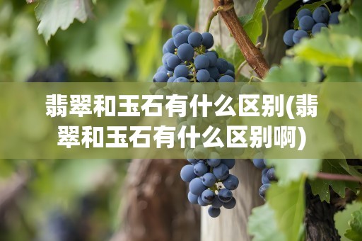 翡翠和玉石有什么区别(翡翠和玉石有什么区别啊)