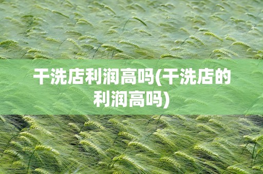 干洗店利润高吗(干洗店的利润高吗)