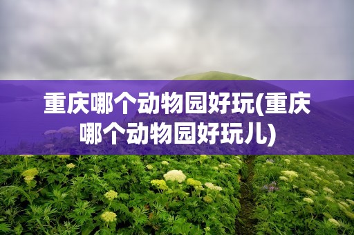 重庆哪个动物园好玩(重庆哪个动物园好玩儿)