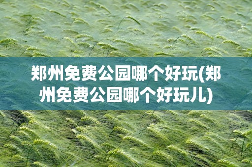 郑州免费公园哪个好玩(郑州免费公园哪个好玩儿)
