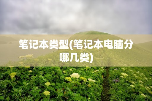 笔记本类型(笔记本电脑分哪几类)