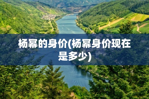 杨幂的身价(杨幂身价现在是多少)