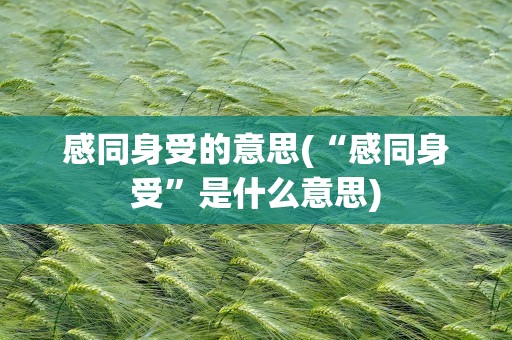 感同身受的意思(“感同身受”是什么意思)