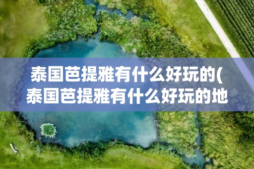 泰国芭提雅有什么好玩的(泰国芭提雅有什么好玩的地方)