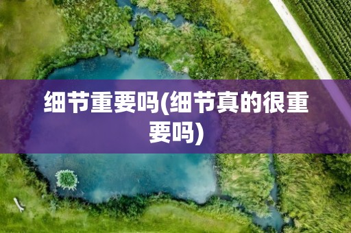 细节重要吗(细节真的很重要吗)