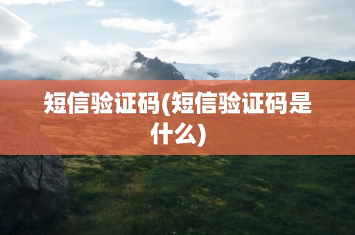 短信验证码(短信验证码是什么)