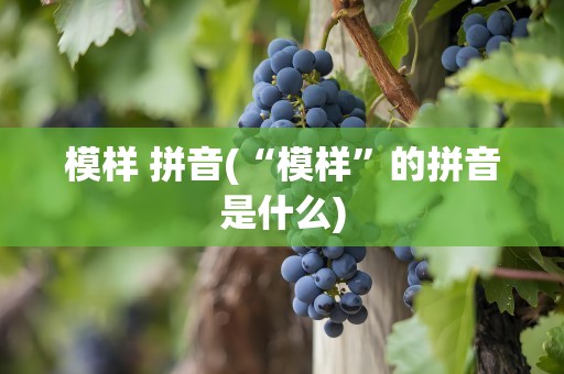 模样 拼音(“模样”的拼音是什么)