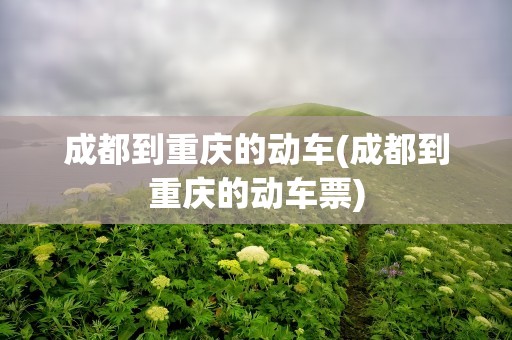 成都到重庆的动车(成都到重庆的动车票)