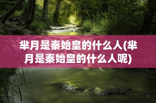 芈月是秦始皇的什么人(芈月是秦始皇的什么人呢)