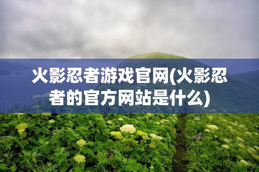 火影忍者游戏官网(火影忍者的官方网站是什么)